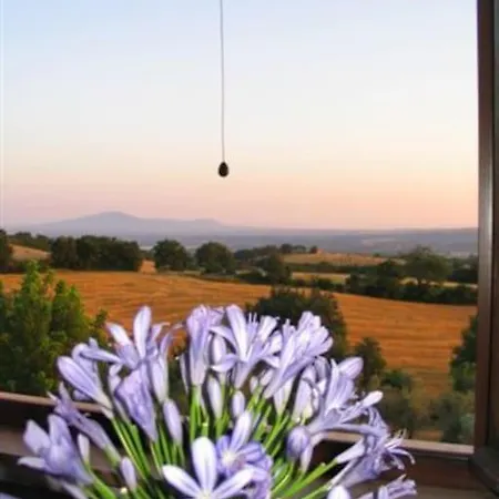 빌라 Casale Con Piscina In Collina - Borghi Silenti - *